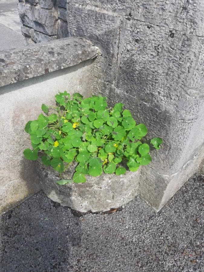 Strokestown Townhouse Apartments 外观 照片