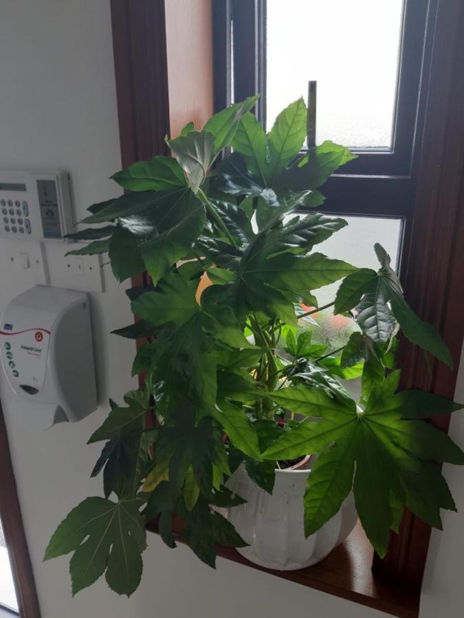 Strokestown Townhouse Apartments 外观 照片